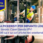 Offerta di Lavoro Pavia: Ricerca Pickeristi